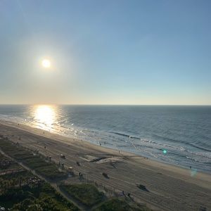 Meet your Posher, Annette